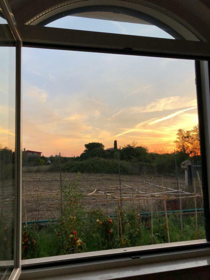 Agriturismo "Lo Zafferano" Aprilia Exteriör bild